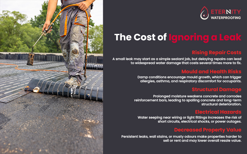 Roof work and listing dangers of ignoring leaks, like mold, damage, and high costs.